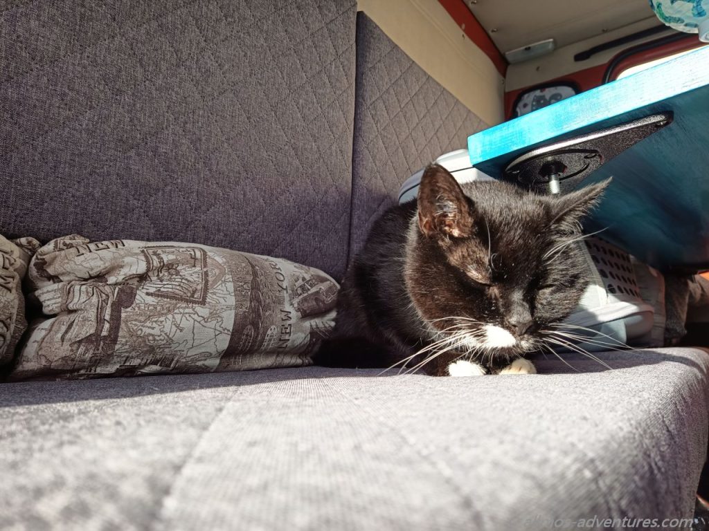 Emma genoss die Sonne