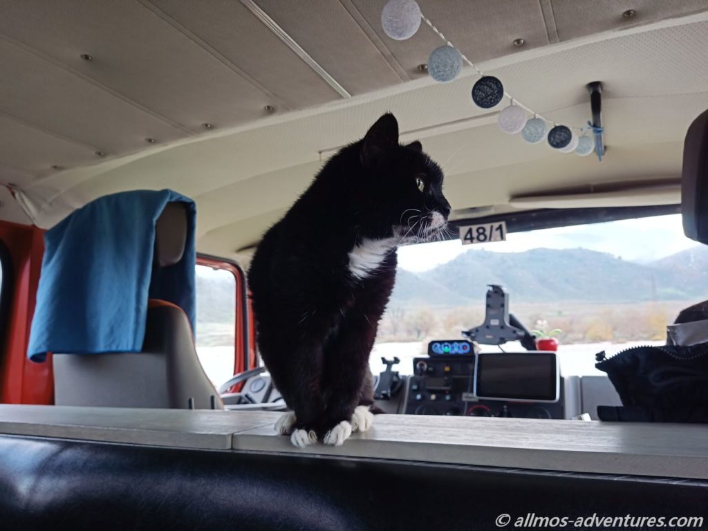 Emma schaut wenig begeistert