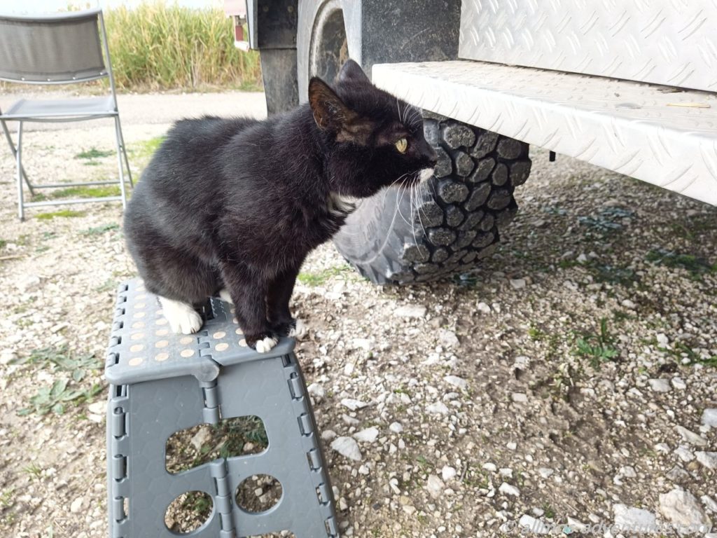 Emma will zurück in die Doka