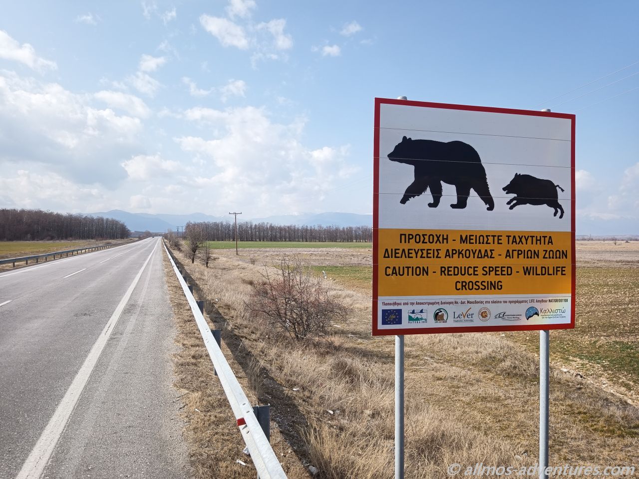 Achtung: Bären und Wildschweine
