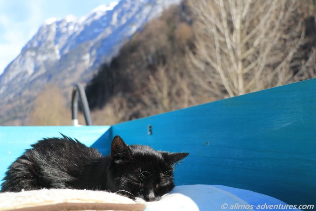 Emma genießt die Sonne