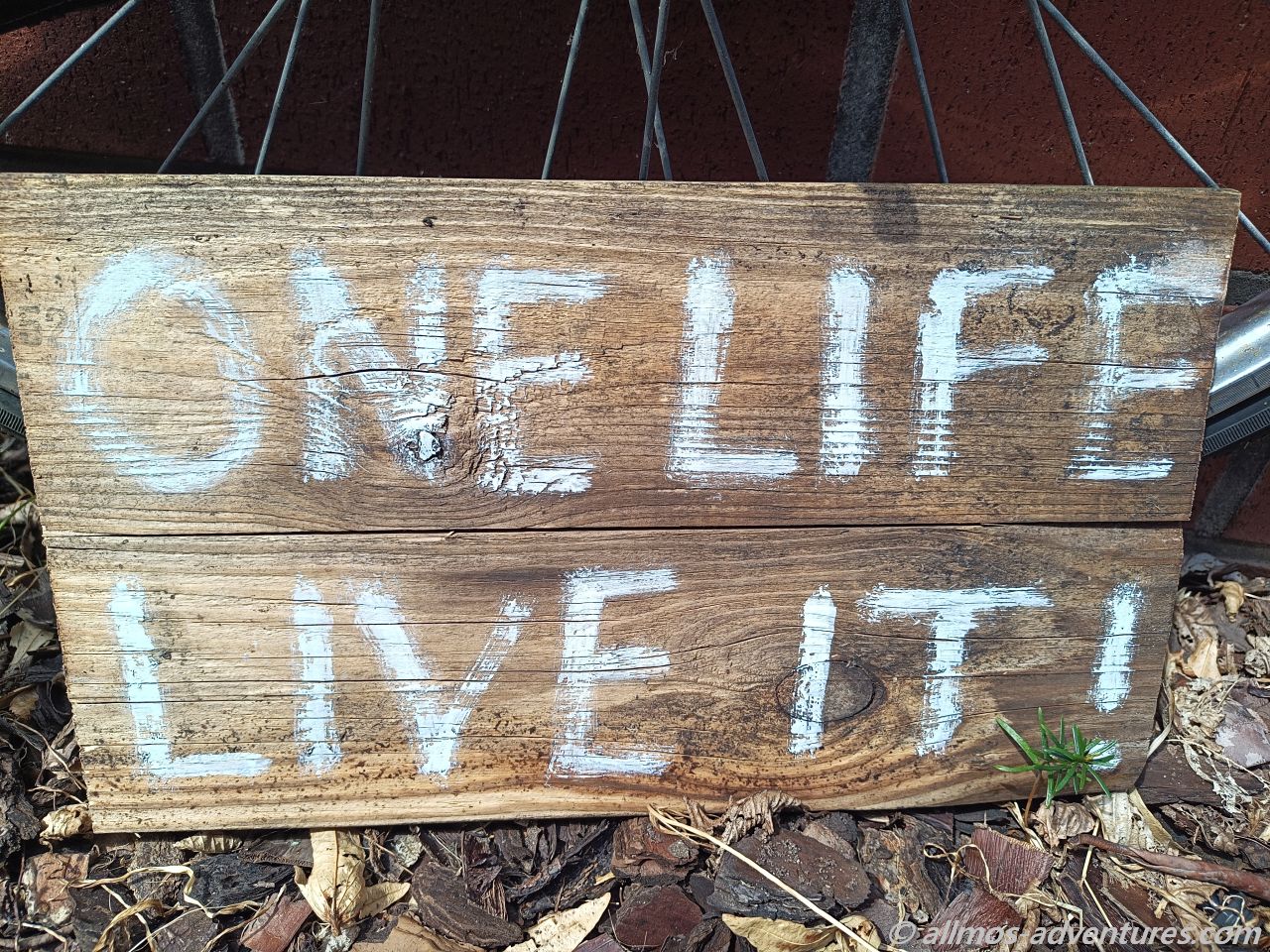 One Life. Live it!