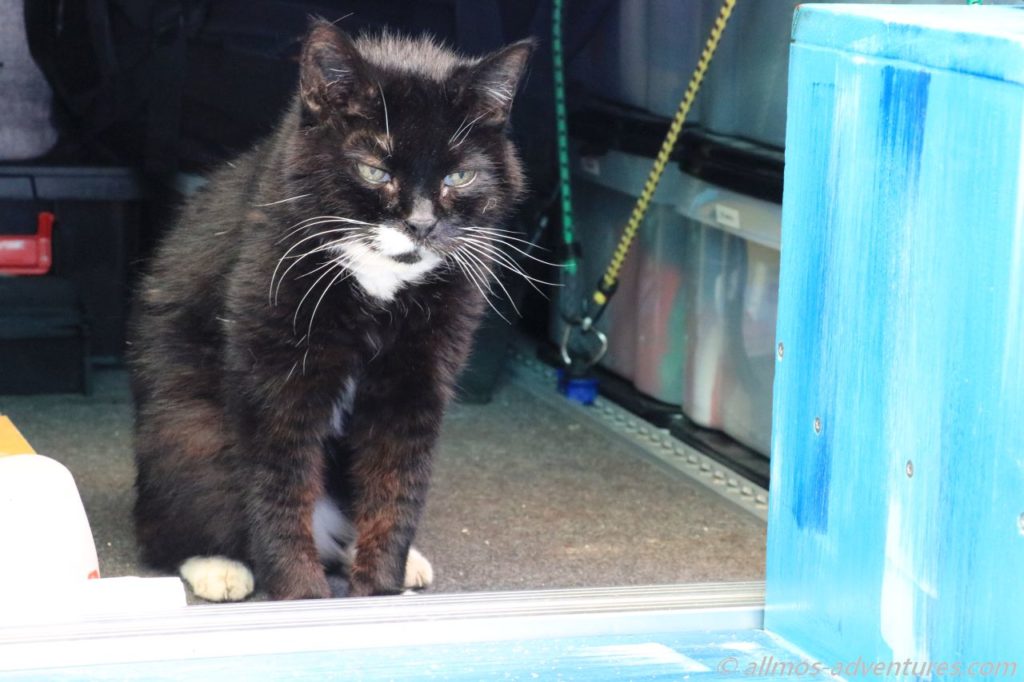 Emma ist - wie immer - wenig begeistert